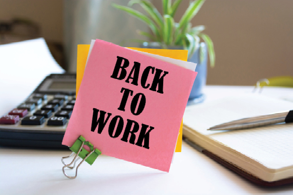 scritta back to work